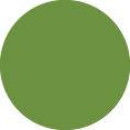 Way2Eat - Medium Green Dot